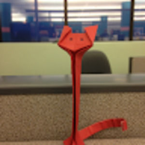 Meet your Posher, Kim